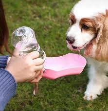 Botella Bebedero Portátil para Mascotas